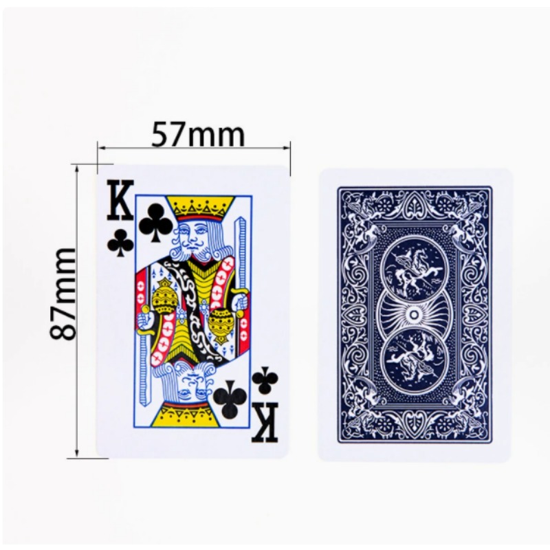 Premium Opaque Playing Cards S - Book Party Games 评论和价格