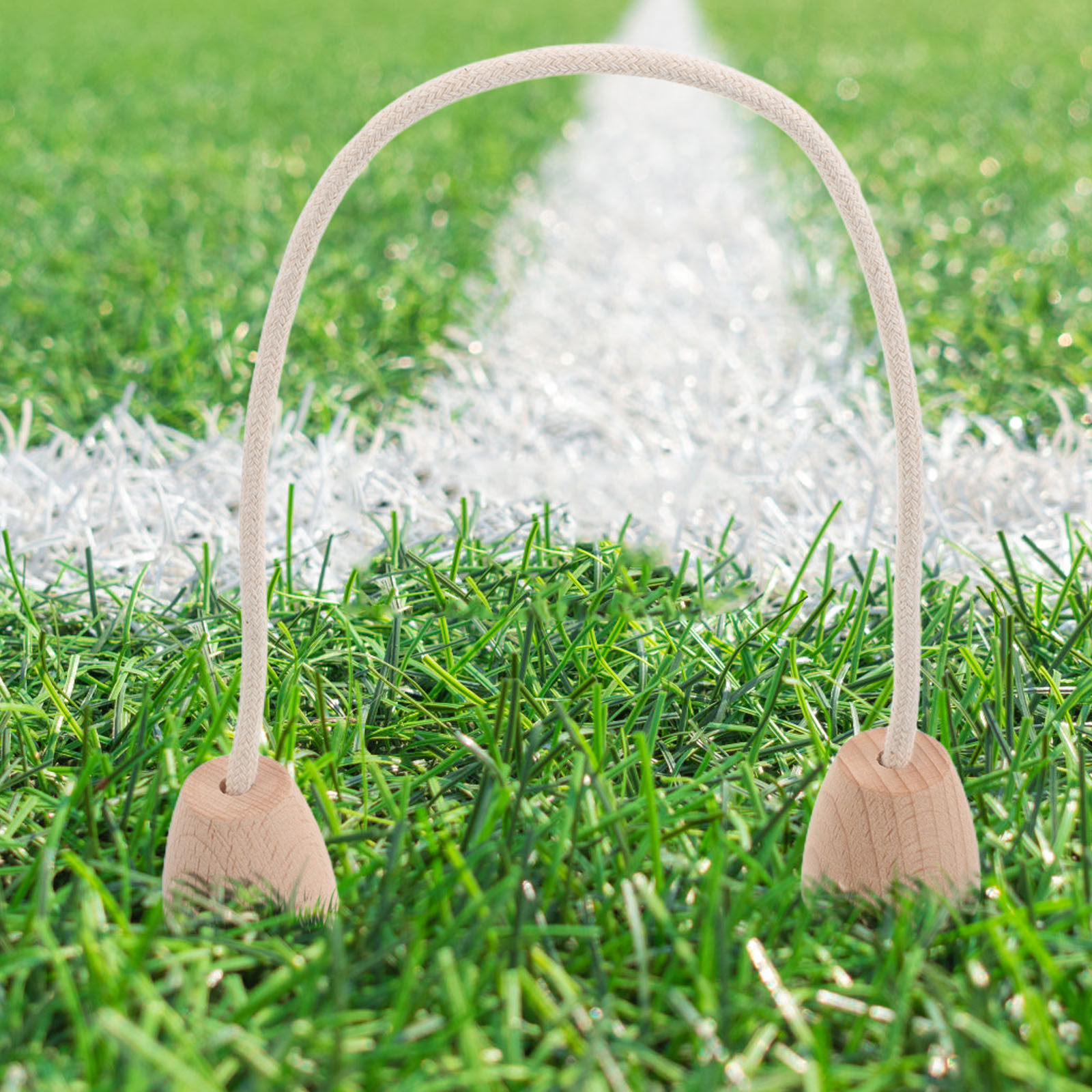5Pcs Outdoor Croquet Wickets C - Croquet Set Lawn 评论和价格